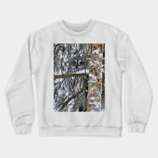 Lapland Crewneck Sweatshirt